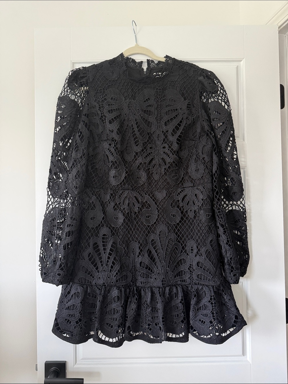 Francesca's Collections Black Lace Long-Sleeve Mini Dress